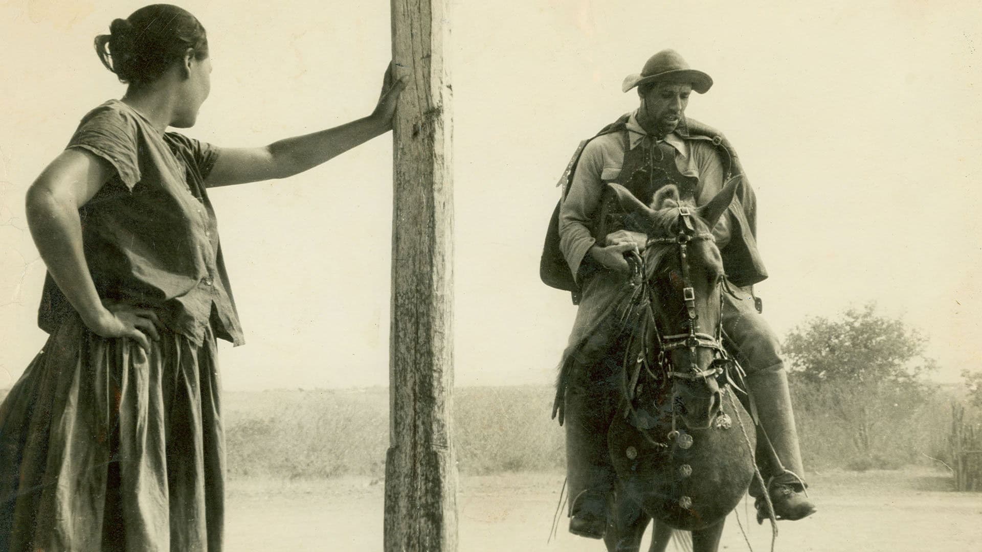 Backdrop for Barren Lives