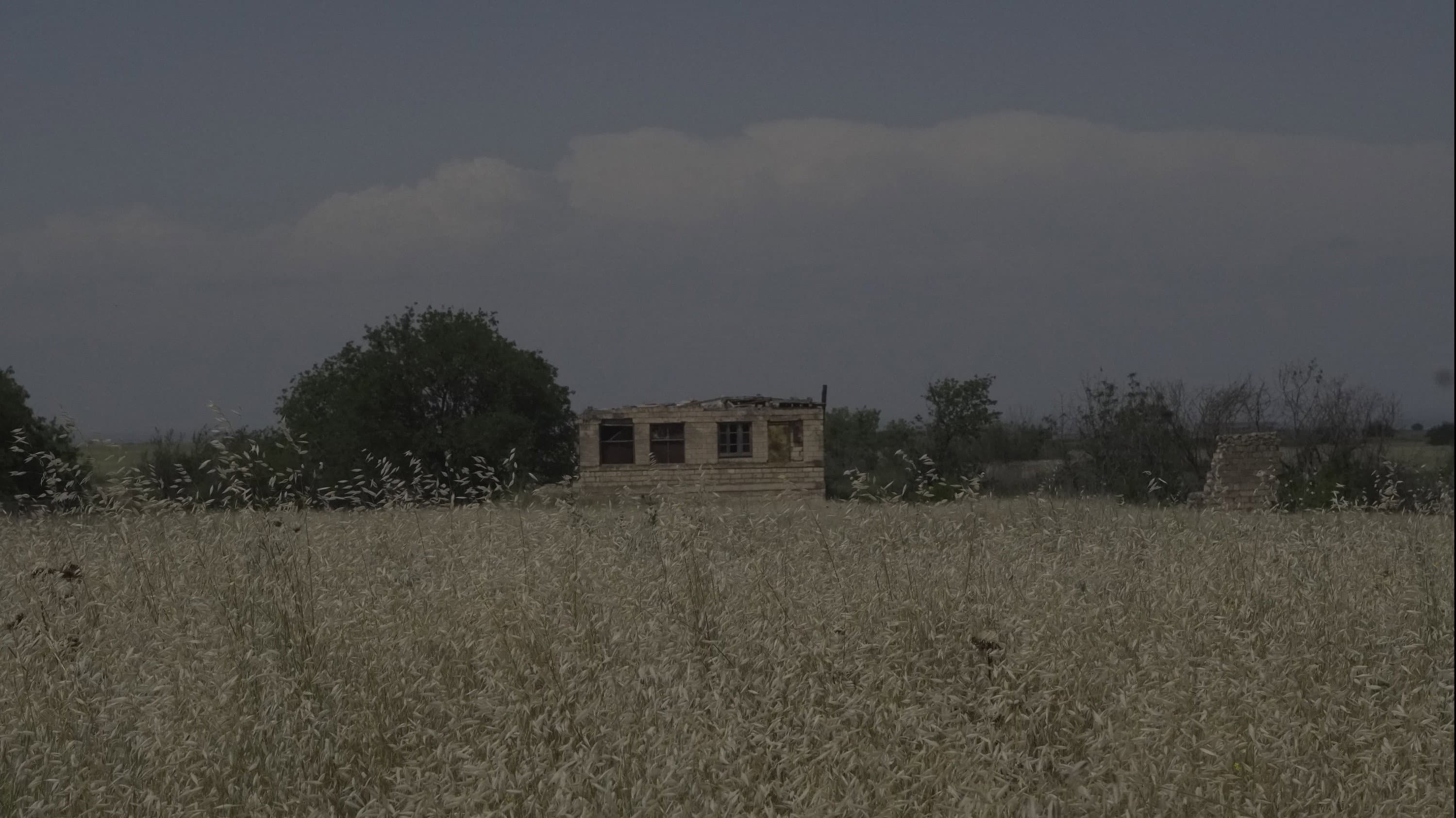 Backdrop for Ones Left Behind