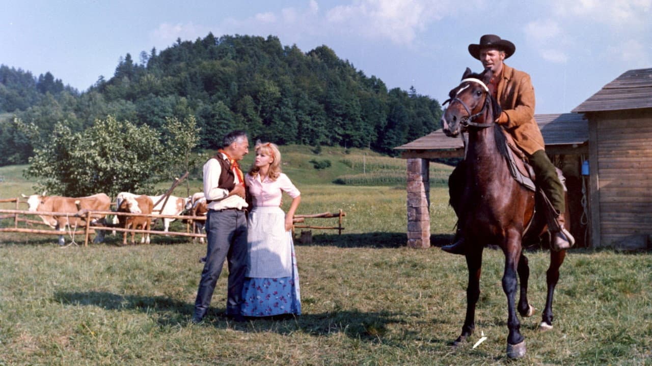 Backdrop for Three Dollars of Lead
