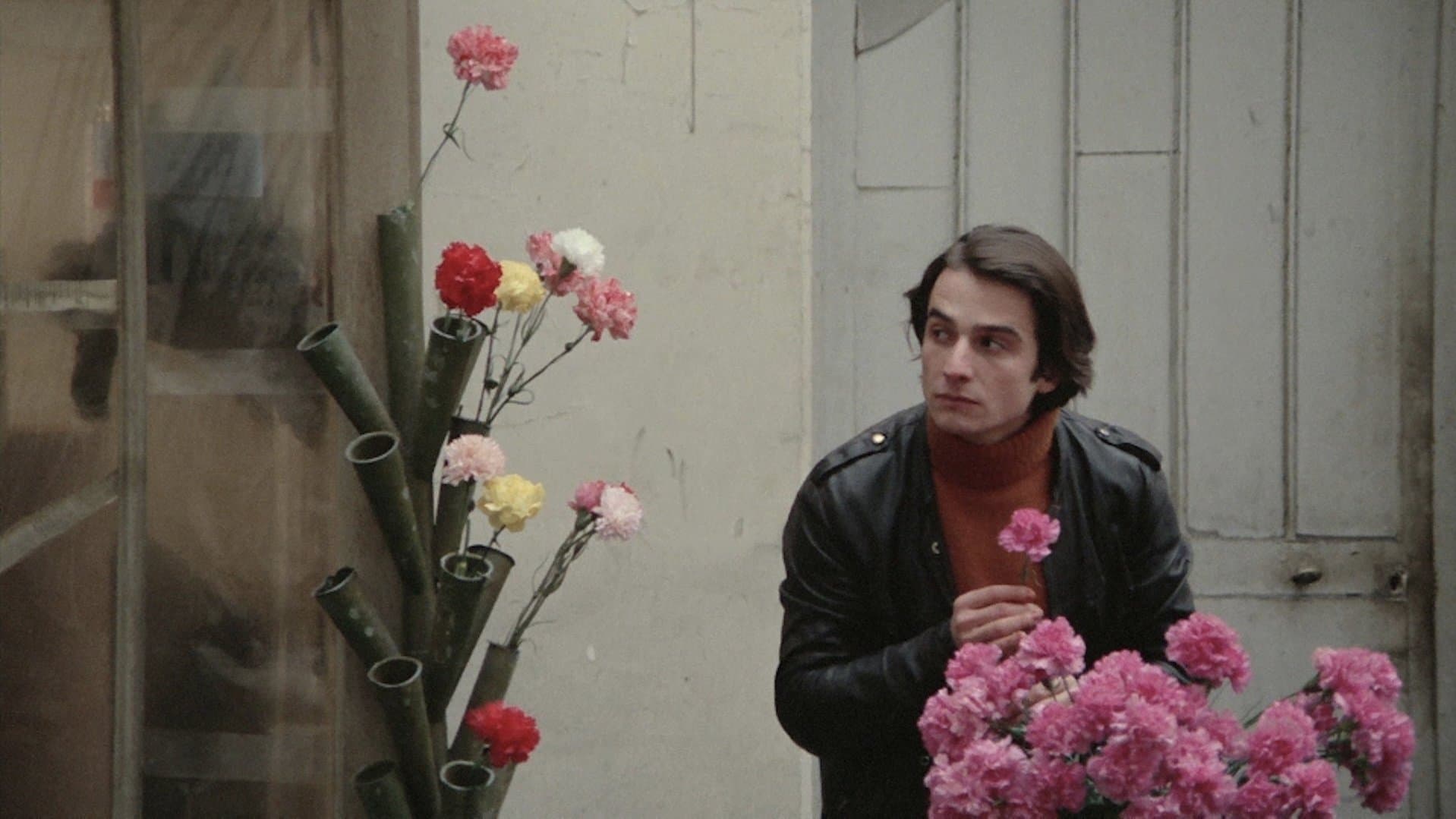 Backdrop for Bed and Board