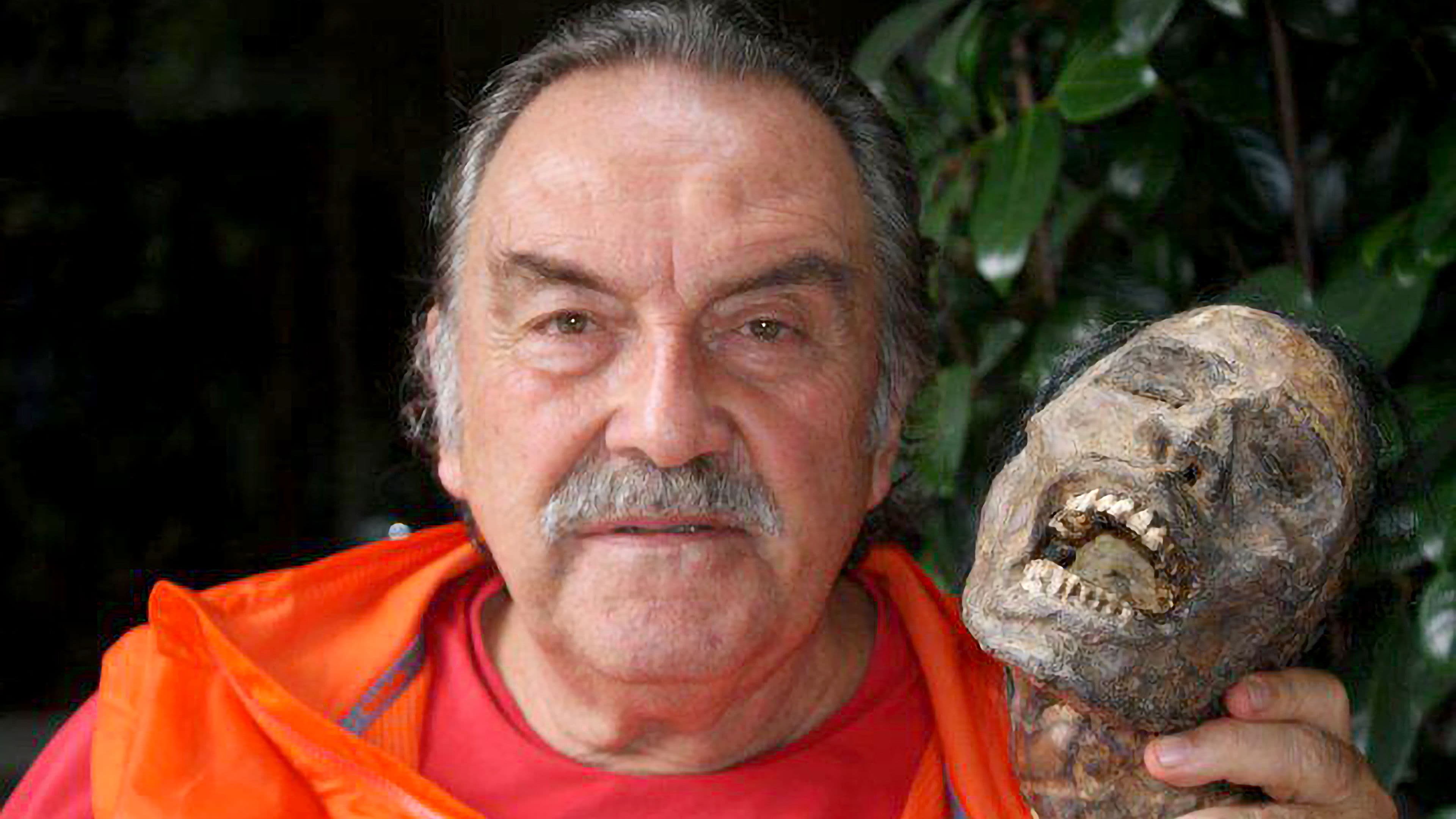 Backdrop for From Inside