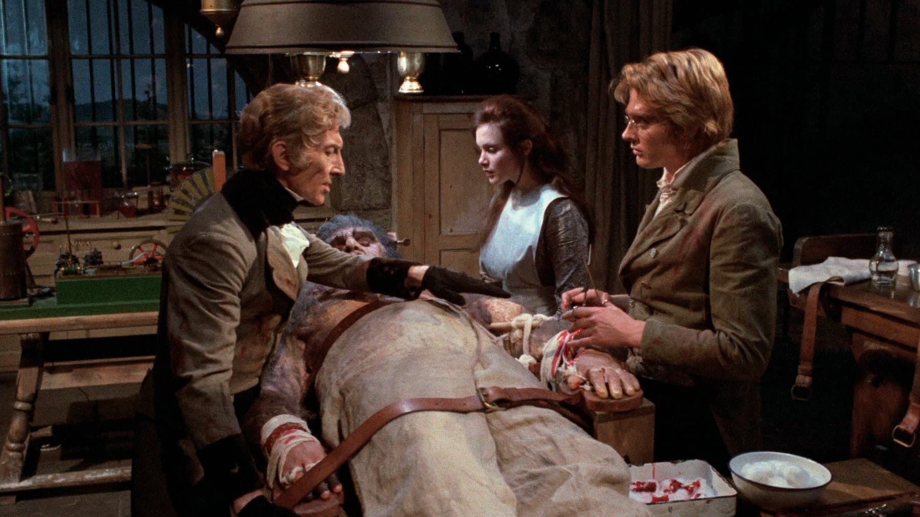 Backdrop for Frankenstein and the Monster from Hell