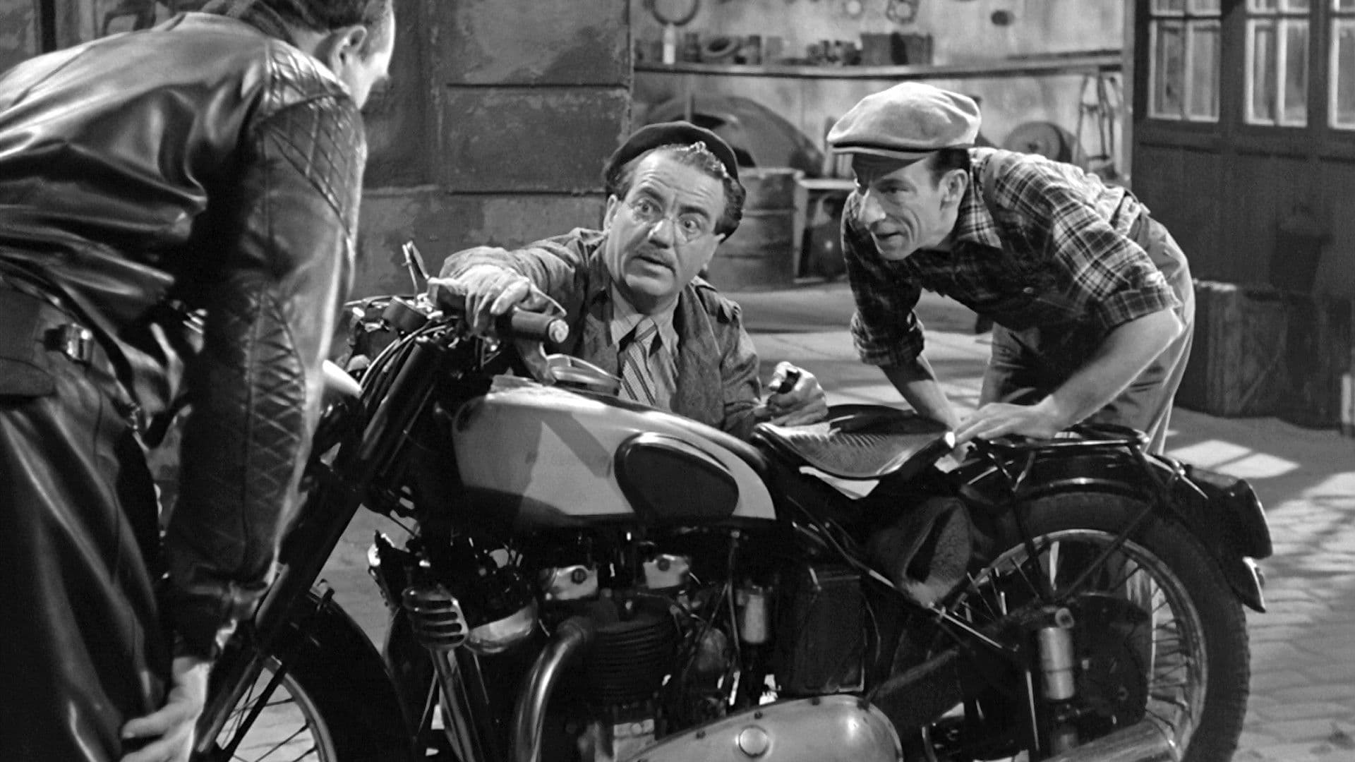 Backdrop for Beauties of the Night