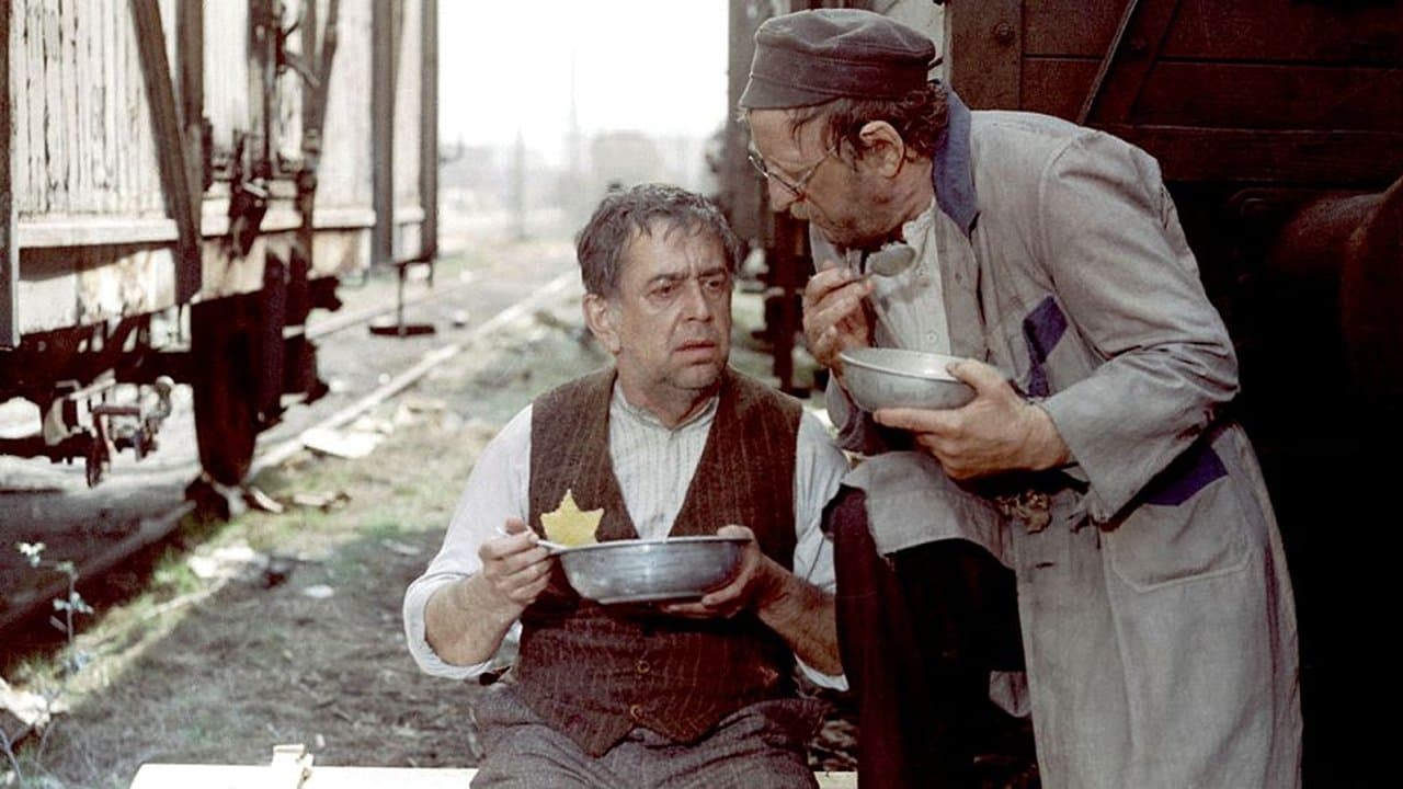 Backdrop for Jacob the Liar