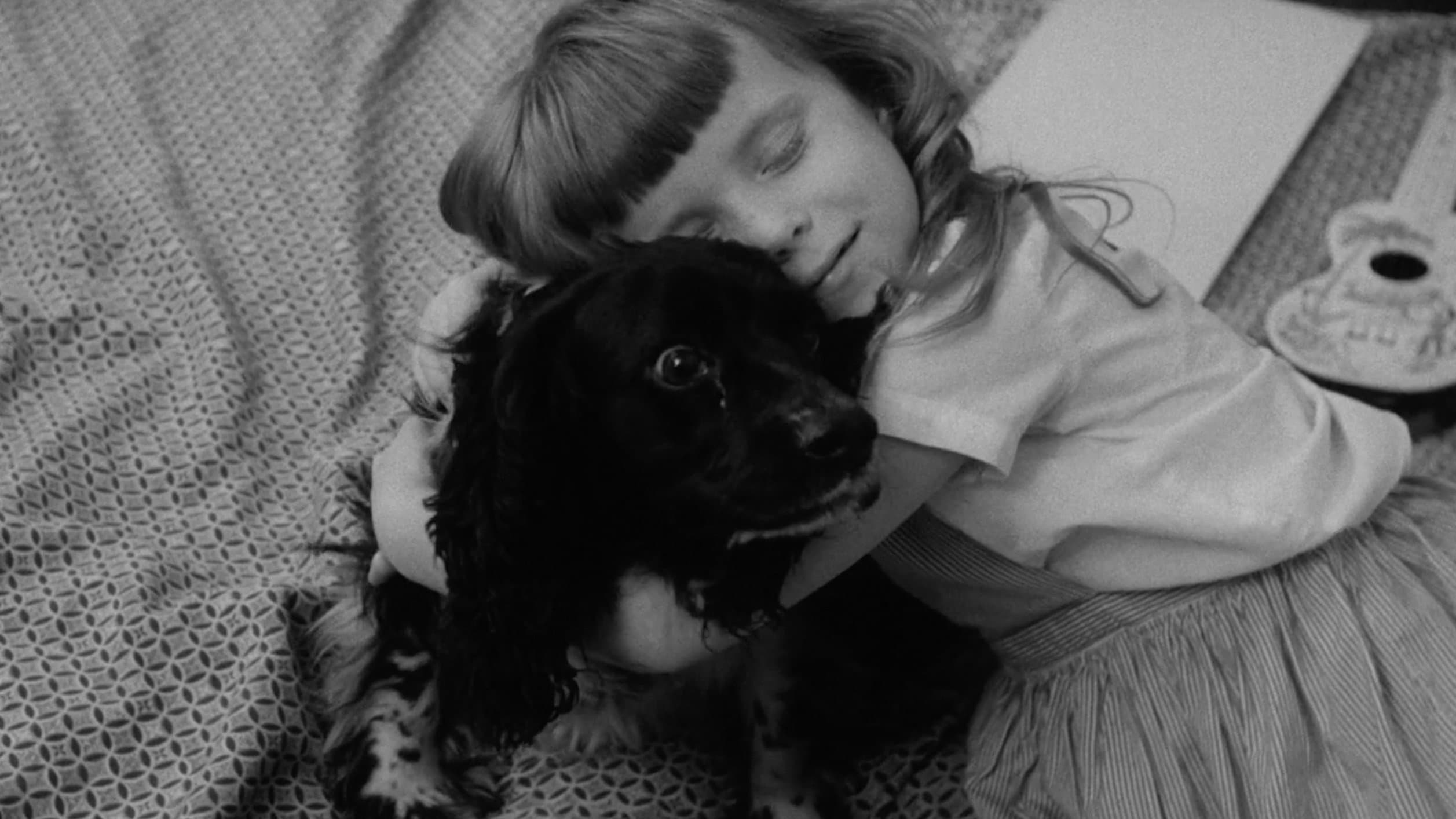Backdrop for The Dog Lover