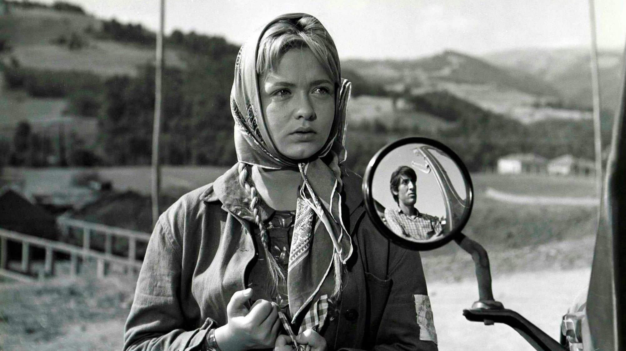 Backdrop for Superfluous