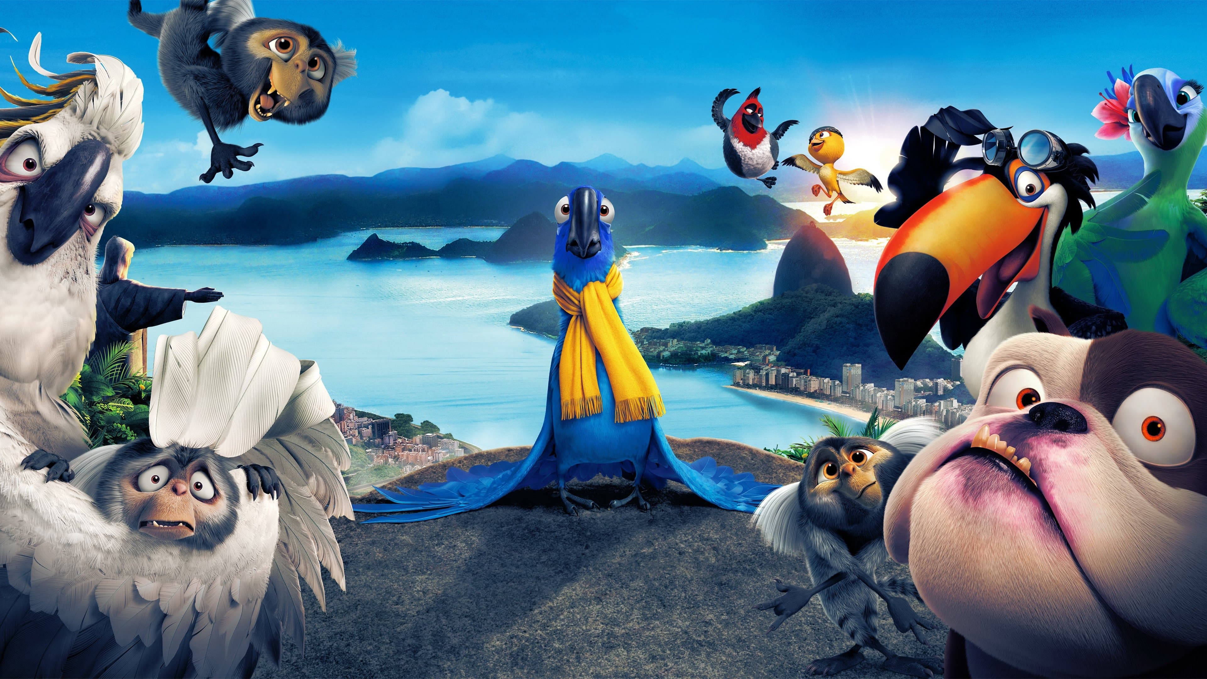 Backdrop for Rio